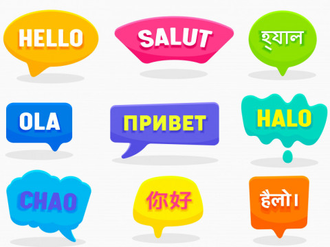 Hindi - Language vs Dialect
