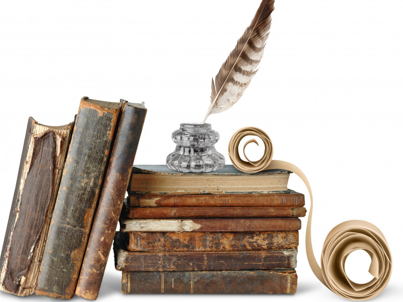 Wild Goose Chase', Meaning & Context Of Shakespeare Phrase